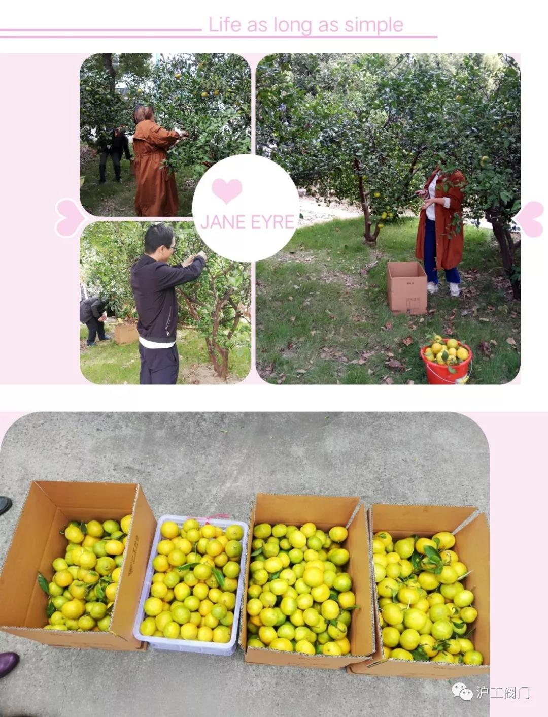 �ի@���ӣ��D3��